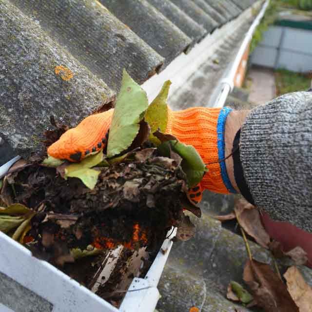 Gutter Cleaning Dublin