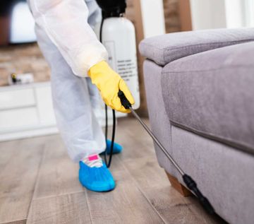 Pest Cleaning Dublin